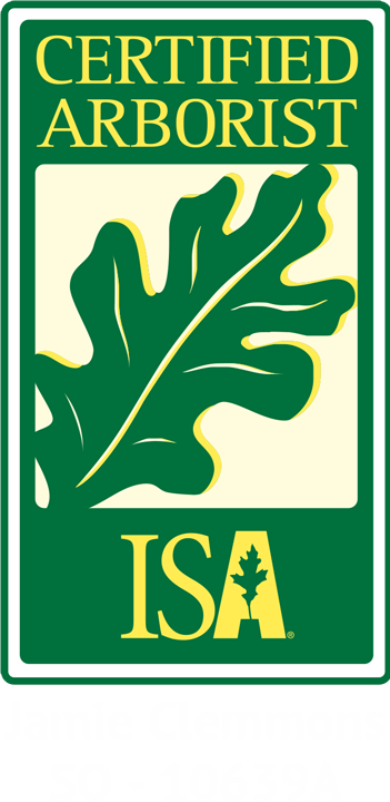 ISA Certified Arborist at Clemmons Tree Care