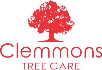 Clemmons Tree Care Logo